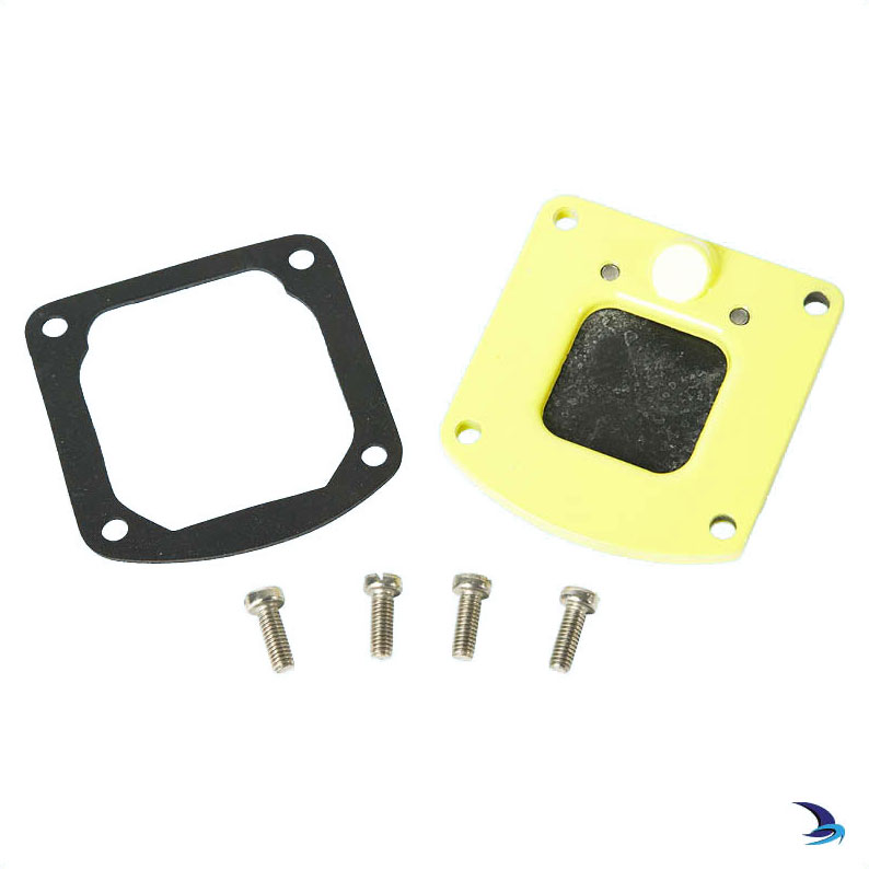 Whale - Outlet Valve Plate Assembly for Whale Gusher® 10